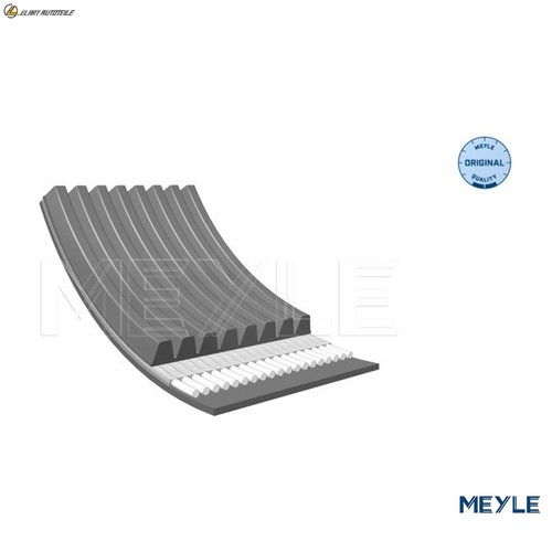 Ribbed belt 050 008 - belt,