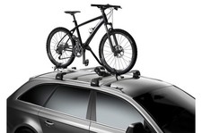Thule 598 ProRide Silver Roof