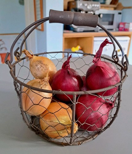 Vintage wire rustic - wire, handled