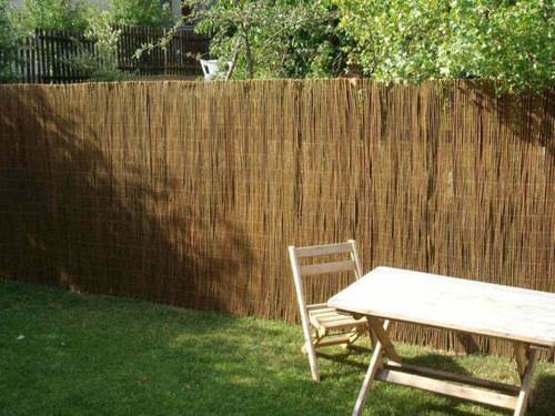 Prestige wicker willow - wicker, garden