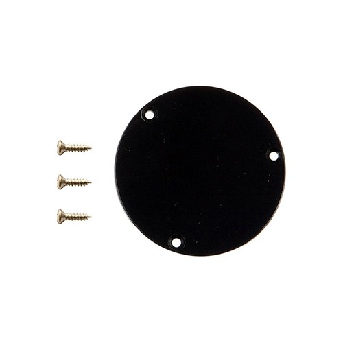 Gibson switchplate cavity - switchplate,