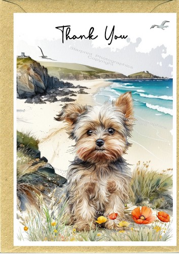 Yorkshire terrier yorkie - yorkshire,