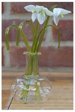 Gorgeous Glass Snowdrop Flower