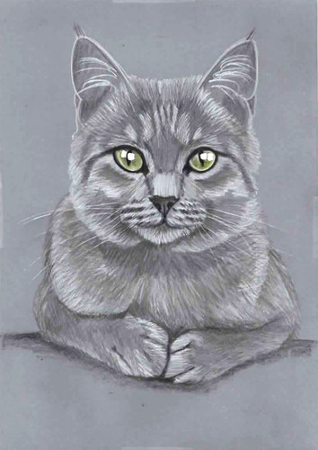 Original colour pencil artwork
