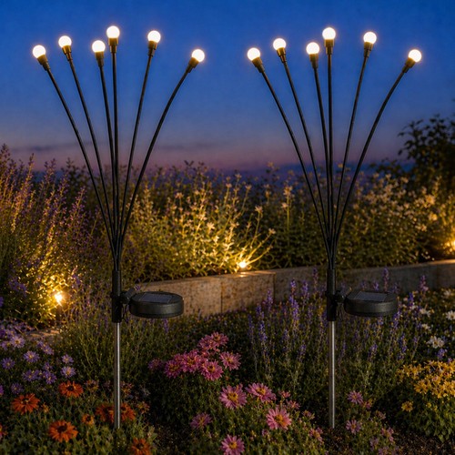 Pack solar berry 6 - of,