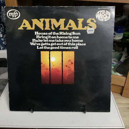 Animals the most 12 - the,