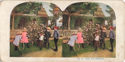 Stereoscopic view card no23 - stereoscopic,
