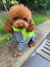 Four-legged Large Dog Coat Waterproof Clothing SI Pet Dog Outdoor Raincoat
