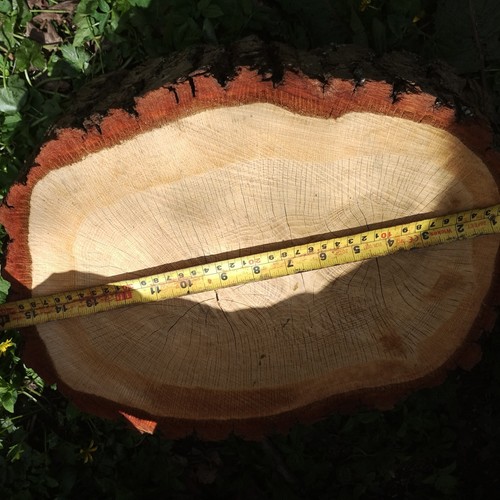 Oak firewood chopping block - oak,