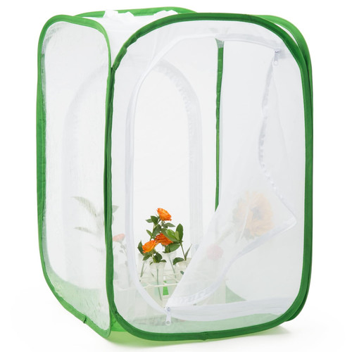 Monarch butterfly habitat - butterfly,