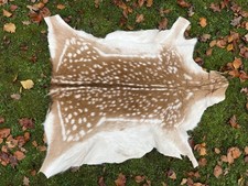 Nice New Real Summer Fallow