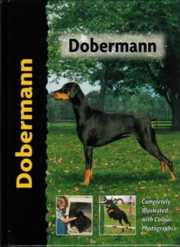 Dobermann by - love),