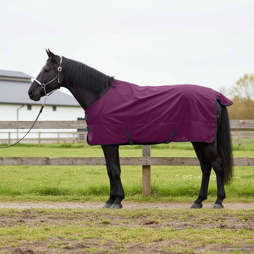 Warm horse rug lightweight - warm,