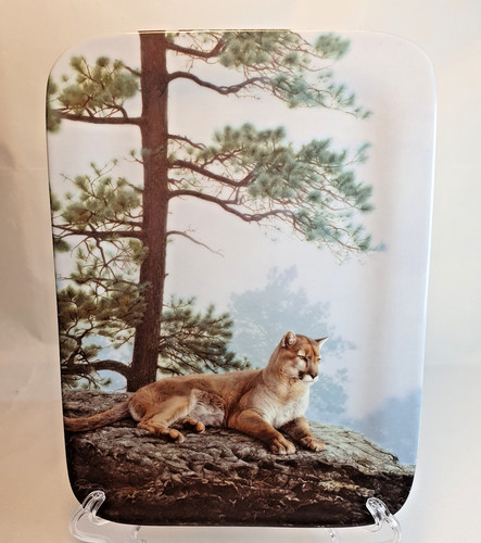 Porcelain plate and the - "and,
