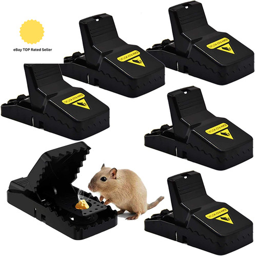 Mouse traps mice - mouse, traps,