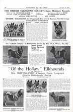 BRITISH ELKHOUND SOCIETY OUR DOGS 1937 MEMBERS KENNEL DOG ADVERTS PAGE b218