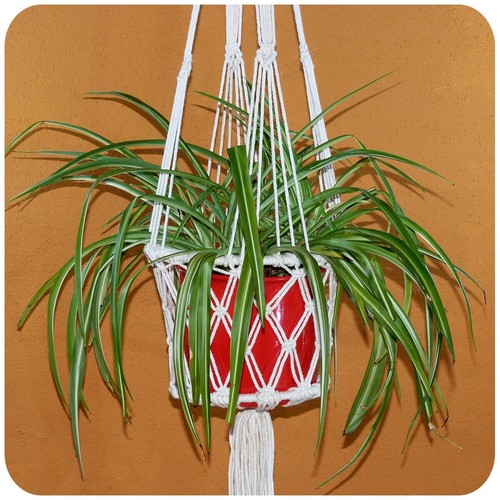 Macrame flower hanging plant - macrame,