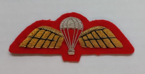 No1 para wings badge - no1,