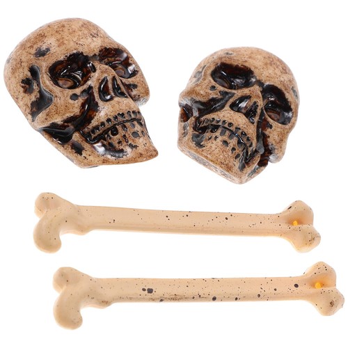 Simulation skull decoration - simulation,
