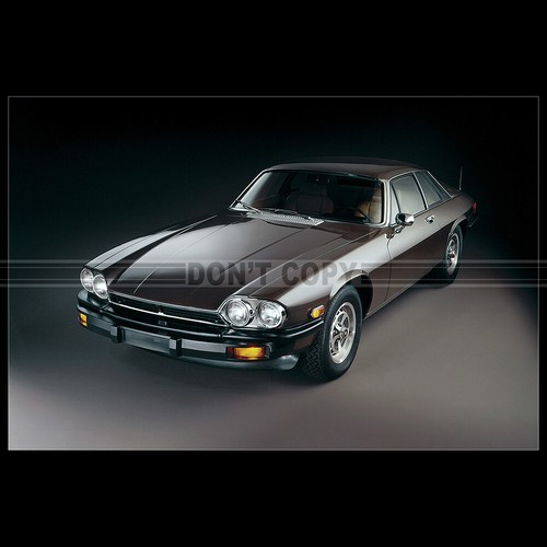 Photo 003431 jaguar - photo, xj-s