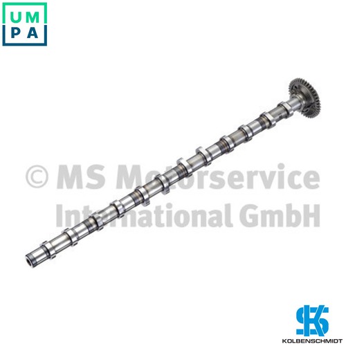 Camshaft 50056025 for bmw - for,