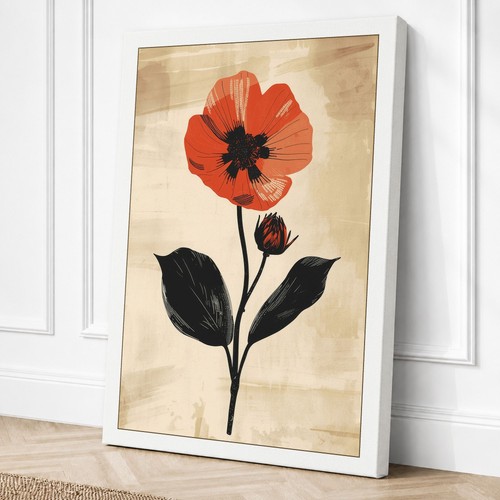Single red poppy botanical - poppy,