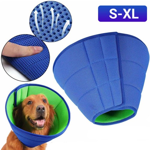 Pet recovery lightweight - recovery,