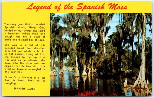 Postcard legend of - -, the