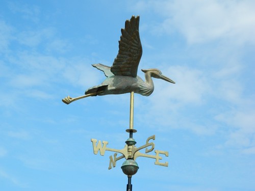 Copper heron stork - heron/,