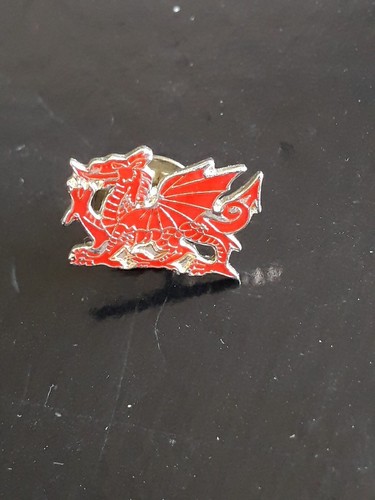 Tara welsh red dragon national - tara,