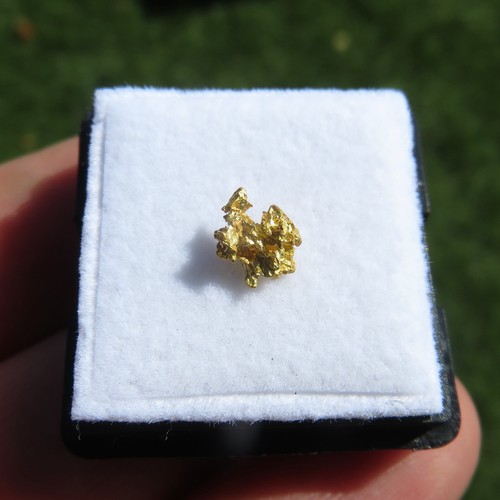 Natural gold nugget - natural,
