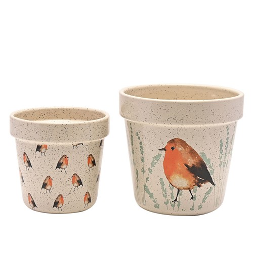 Ceramic plant pots - plant, decorative