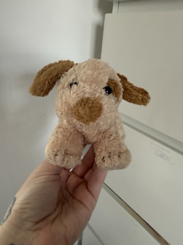 Small beige patch - beige, dog