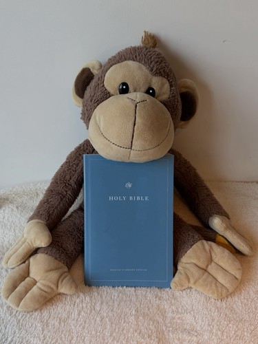 The holy bible english - holy,