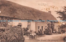 R236852 the lizard old - r236852,