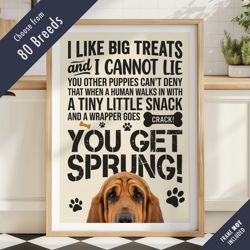 Funny dog treats - funny, lyric