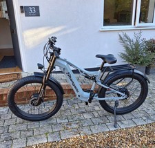 26" Electric Bike Dual Motor