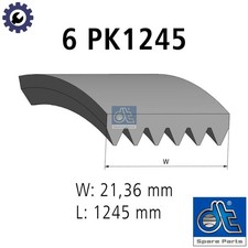 VRIBBED BELT 6.31514 FOR