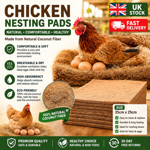 Pack chicken nest box - 10,