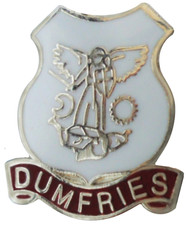 Dumfries Town Crest Small Pin