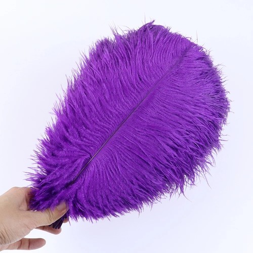 10pcs large ostrich feathers - 10pcs,