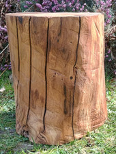 Tree stump seat log table