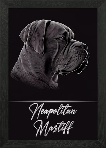 Elegant neapolitan mastiff - elegant,