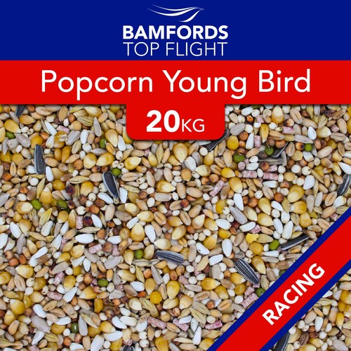Bamfords popcorn young bird - young,