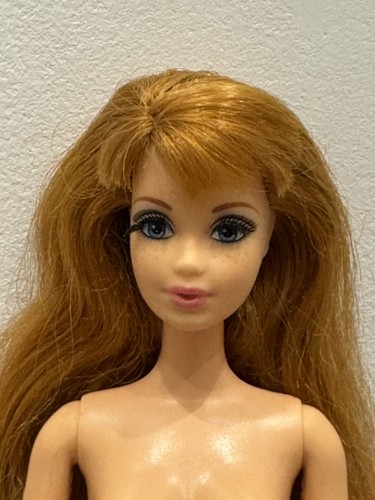 Barbie life the dream - the, house