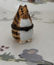 Super Cute Ginger Tabby Cat