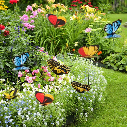 Pcs butterfly - 50,