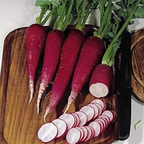 Organic winter radish - organic,