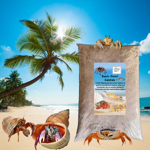 Bugznbits hermit crab - hermit,