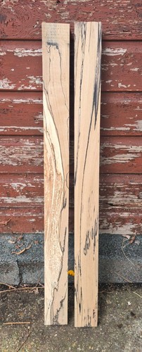 Spalted beech end grain - beech,